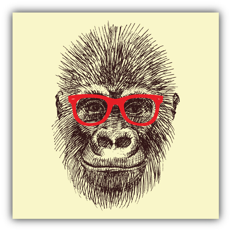 Orangutan Monkey Head Car Bumper Sticker Decal "SIZES"