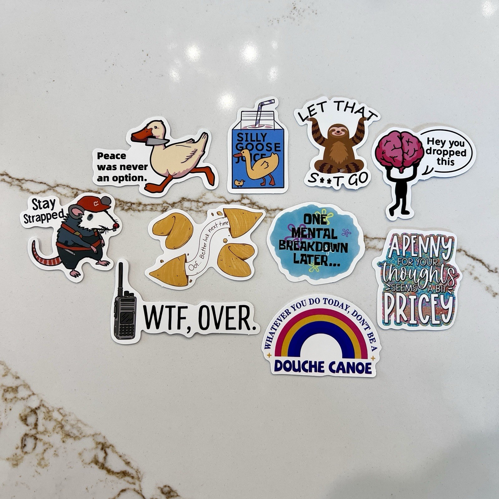 Set of 10 Sarcasm Humor Sticker Lot Silly Goose WTF Mental Breakdown Sloth