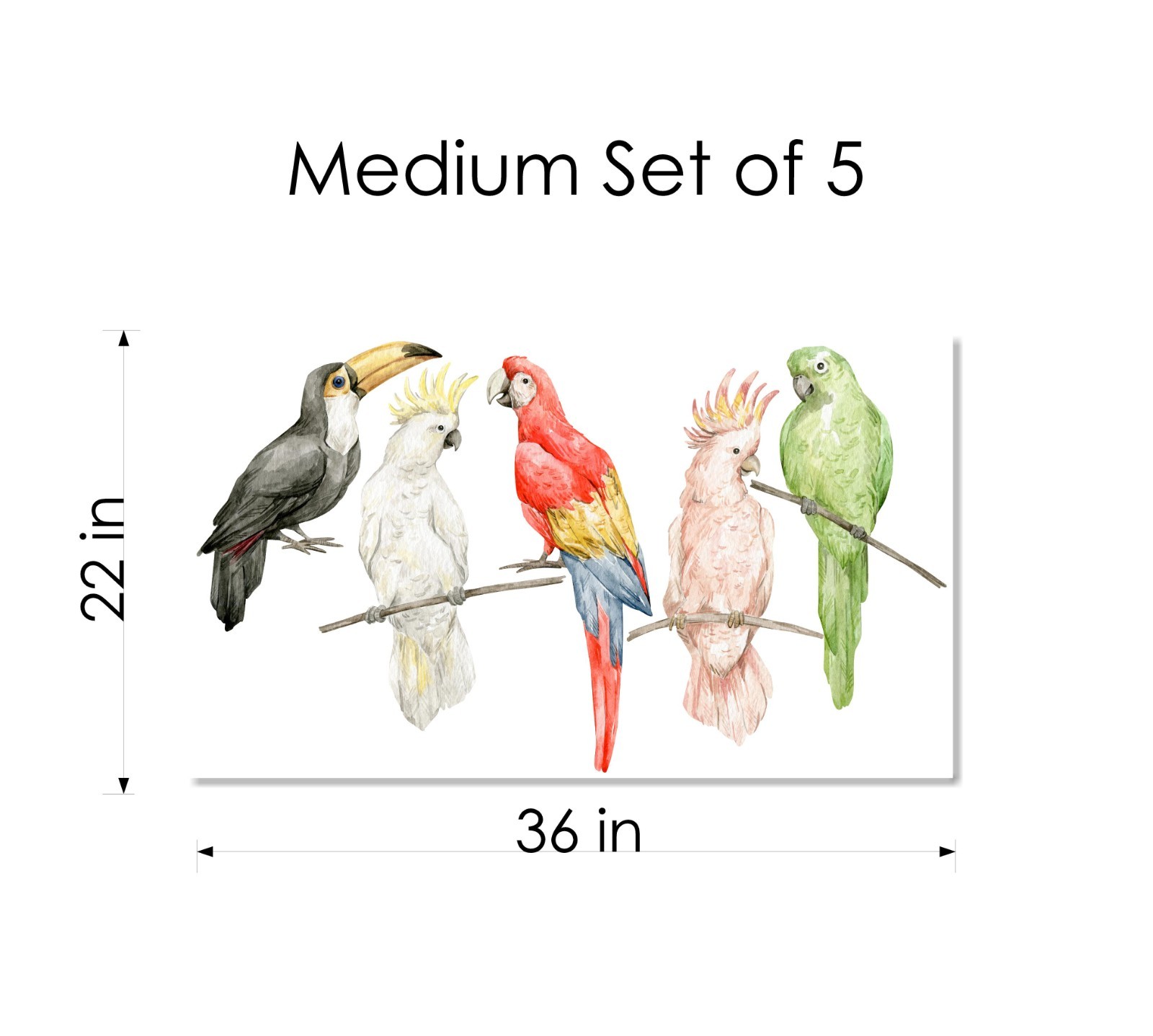 MEDIUM Tropical Rainforest Birds Wall Decal Set of 5 Jungle Safari Parrot Toucan