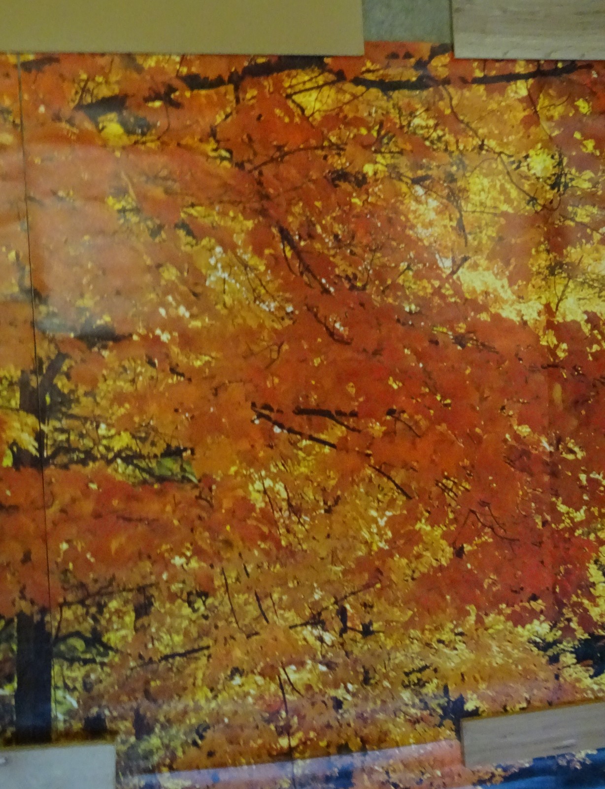 Full Wall Photo Mural Colorful Autumn Leaves Forest Path Tree 8’ 8” x 12’ 6” NOS