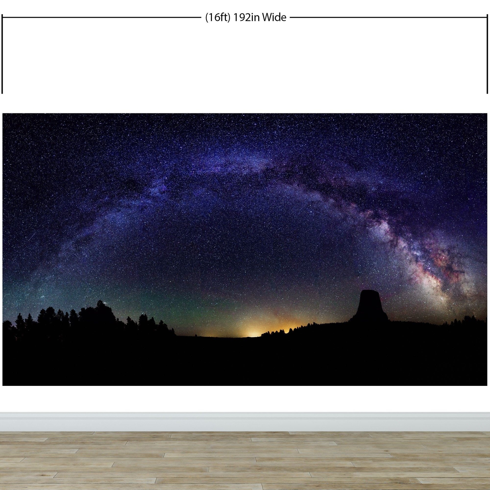 Milky Way Galaxy Stars Wall Mural. Starry Night Over Devils Tower National Monum