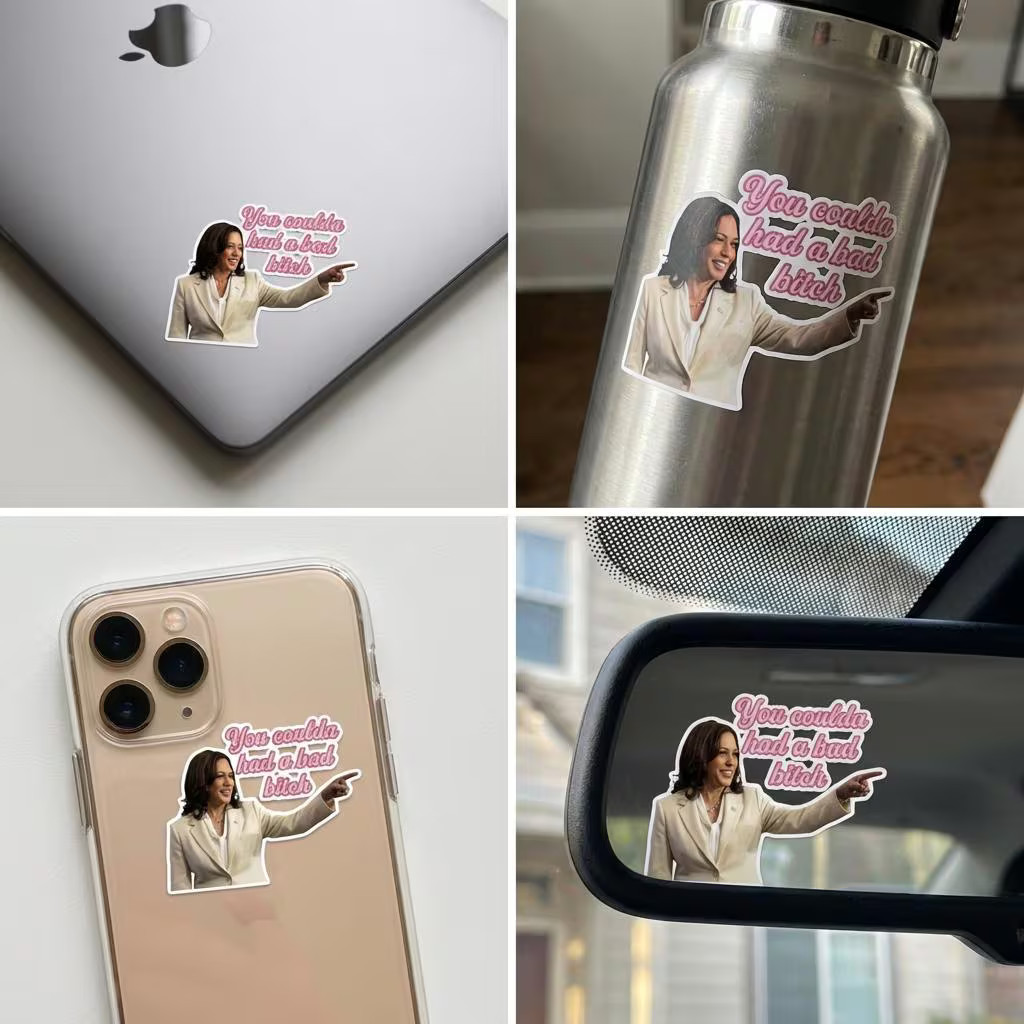 100 Pcs I Did That Anti-Trump Sheet Sticker, Kamala Harris â€œYou Coulda Had a B