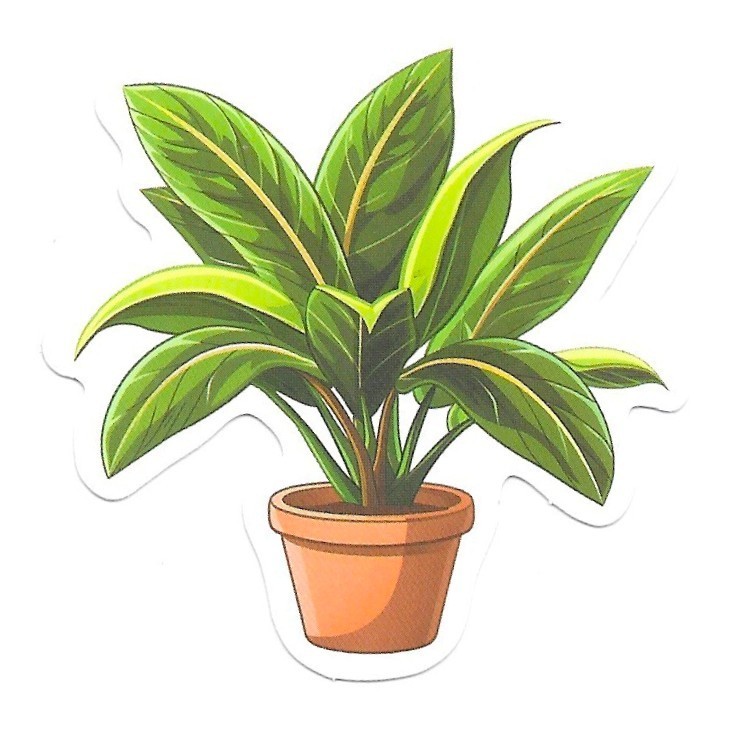 Vinyl Sticker Die Cut Chinese Evergreen Decal Aglaonema Plant Journal Scrapbook