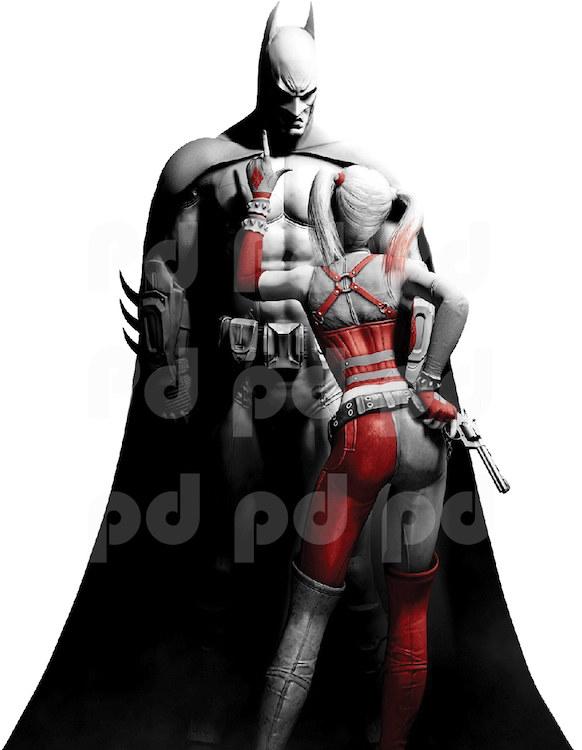 Batman and Harley Quinn Wall Decal Mural Arkham Knight Batman Wall Mural, s82