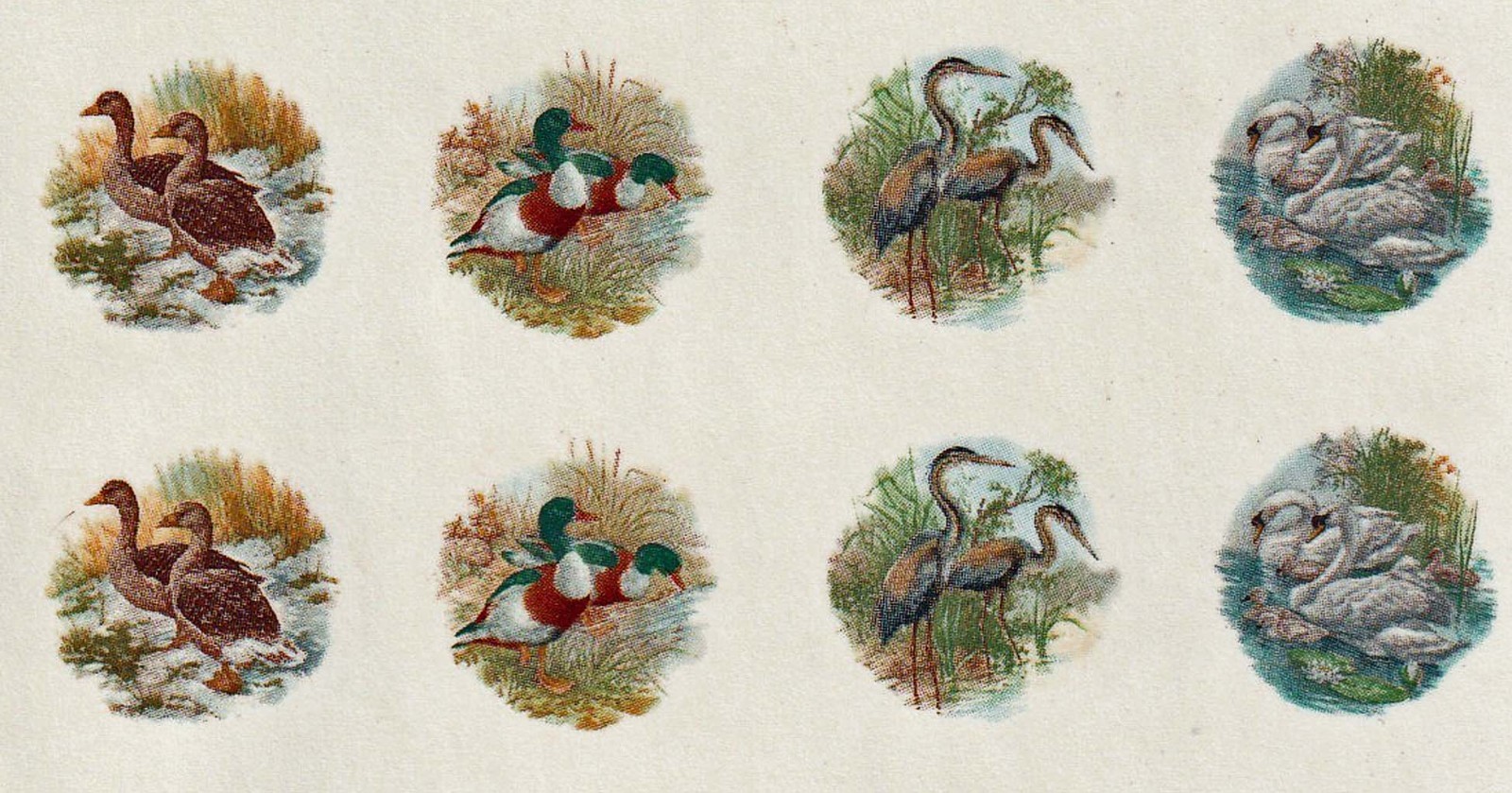 Vintage Mini Ducks & Swans Wildlife Decals: (8) waterslide transfers, crafts