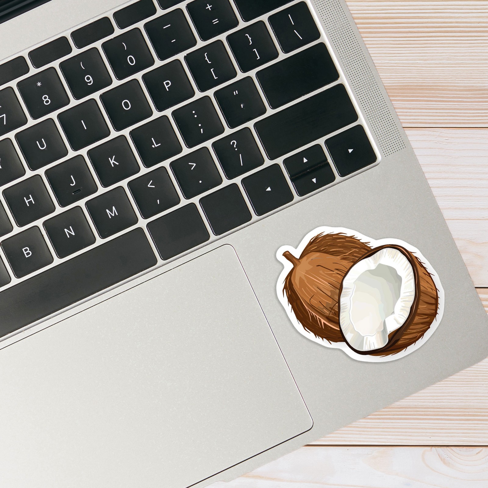 Fresh Coconut Half – Vinyl Decal Sticker – Car Window Laptop – #1617