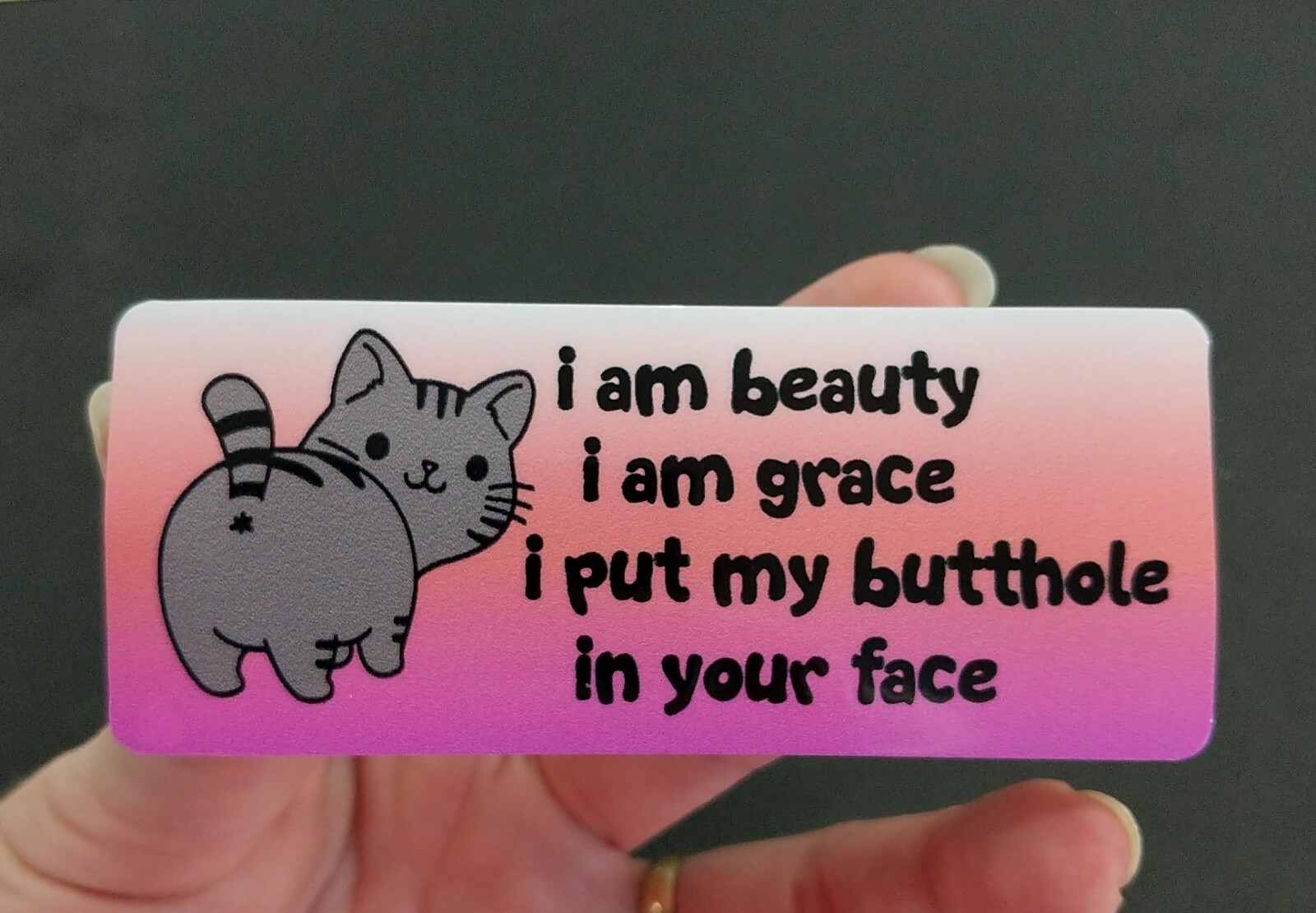 Beauty Grace Butt in Your Face Cat Decal 4 x 1.75" Kitty Humor Pet Lover Sticker