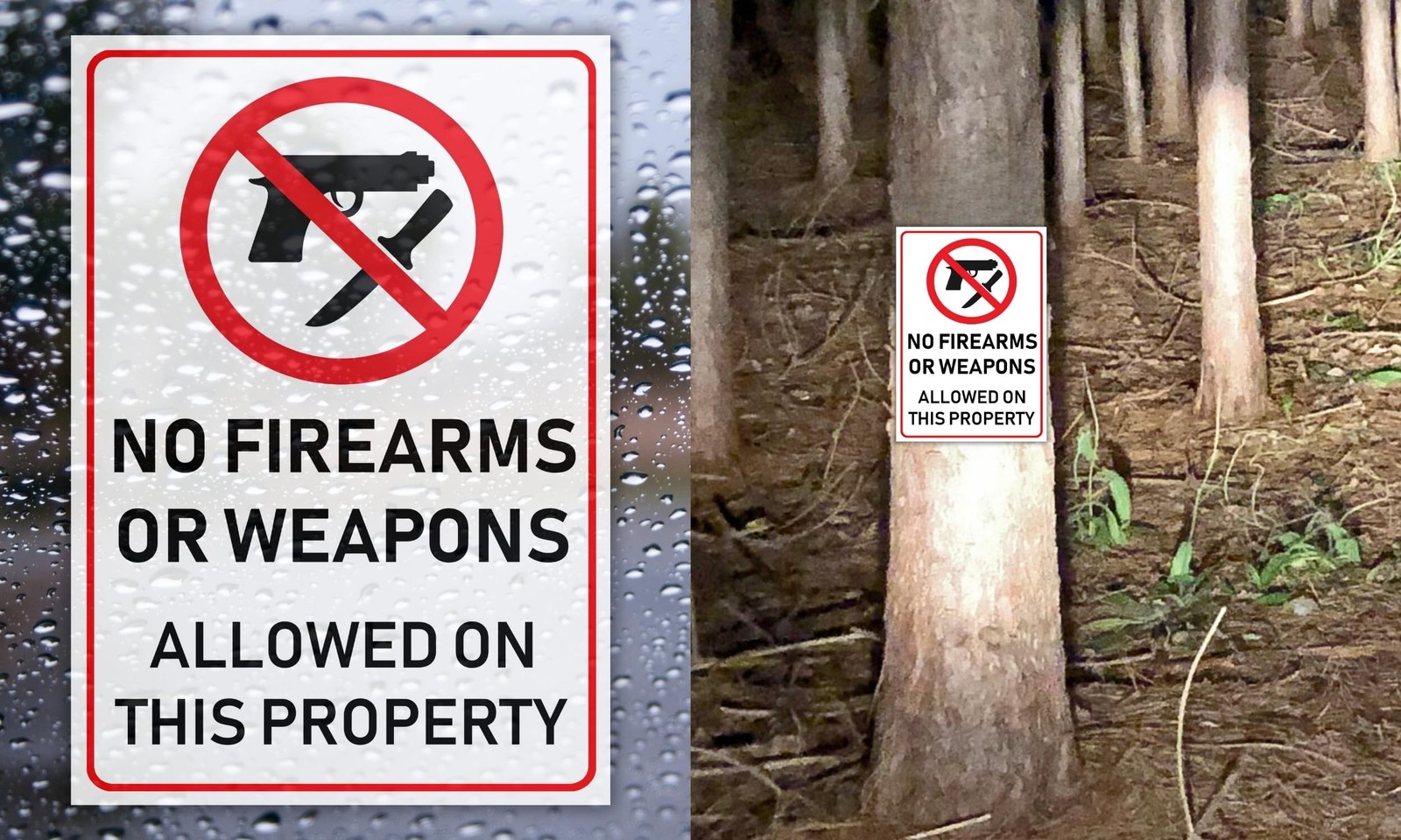 (2 Pack) No Firearms Guns Or Weapons Allowed Sign, 10 x 7 Inches, 120 Mil Pla…