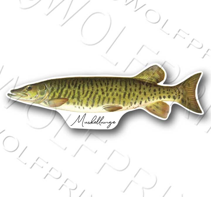 Northern Pike Fish Sticker 6" or 11" Wide Walleye Bass Boat Car Window Decal