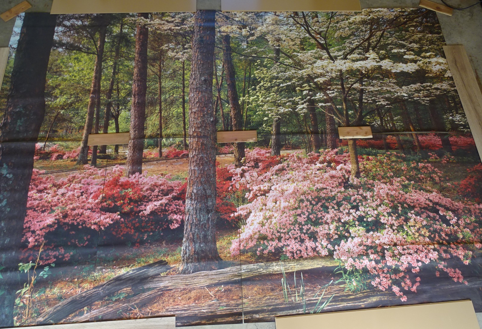 Full Wall Photo Mural Azaleas & Dogwoods Trees Railroad Track 8’ 8” x 12’ 6” NOS