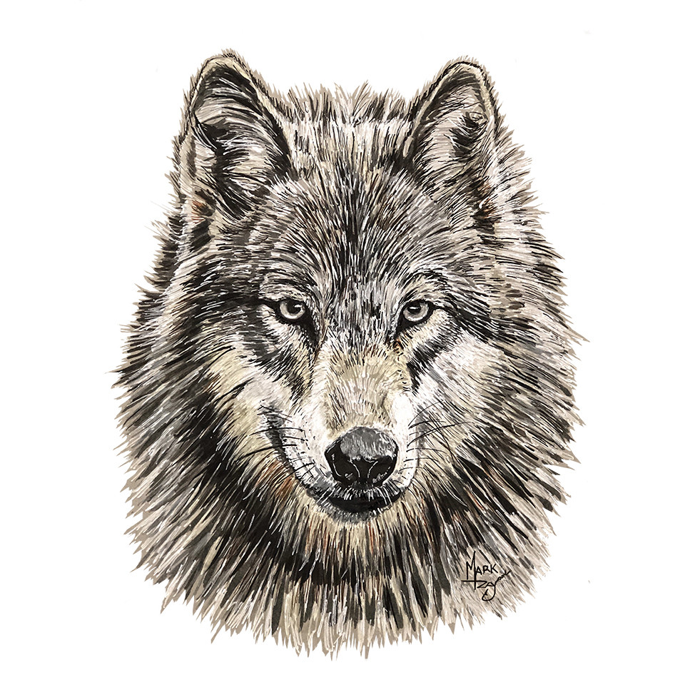 Grey Wolf Graphic Art Decal Sticker Car Truck ATV Tumbler Cup Laptop Golf Cart