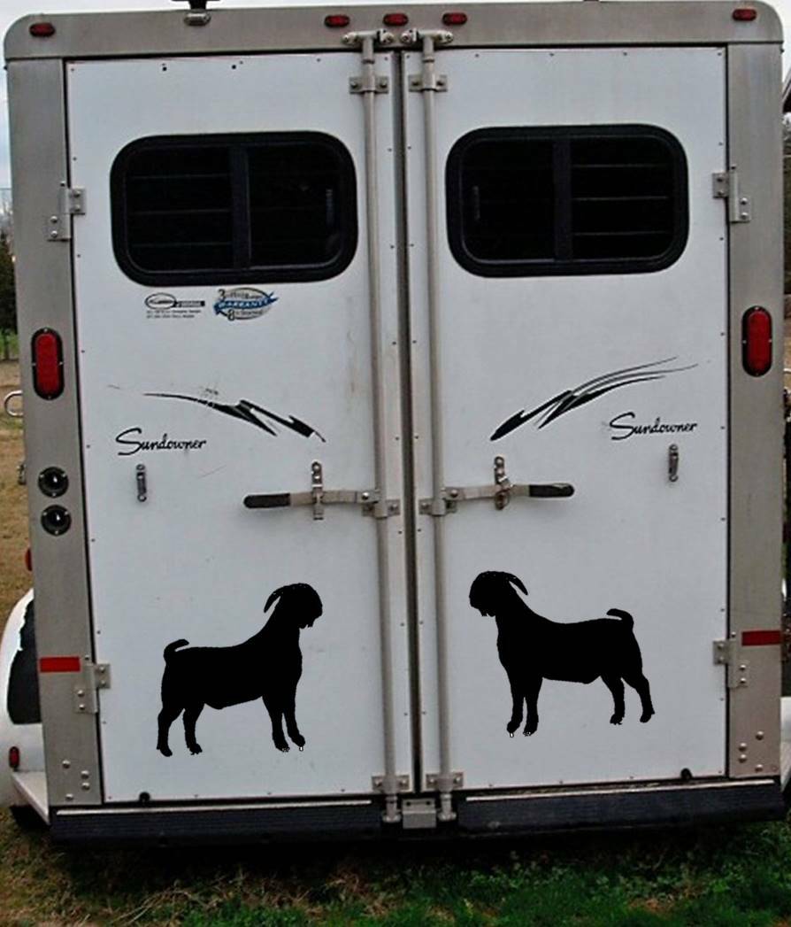 Boer Goat Decals Stickers OS 154 12" size (2 decal set) goats kiko