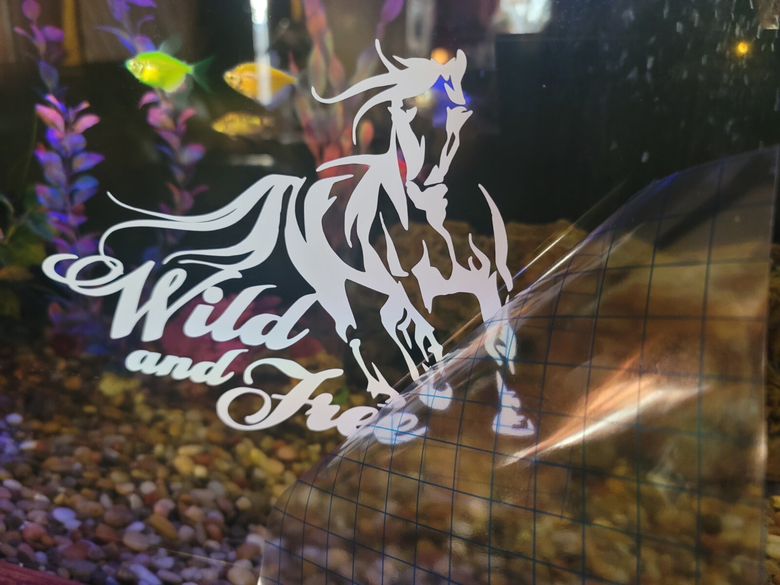 Beautiful disaster Decal For Window Or vehicle for women/ladies