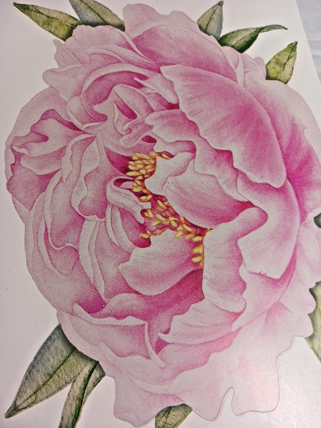 Wall Decals 10" Flowers. Rose + Pink. 3 sets. Peel and stick floral decorations