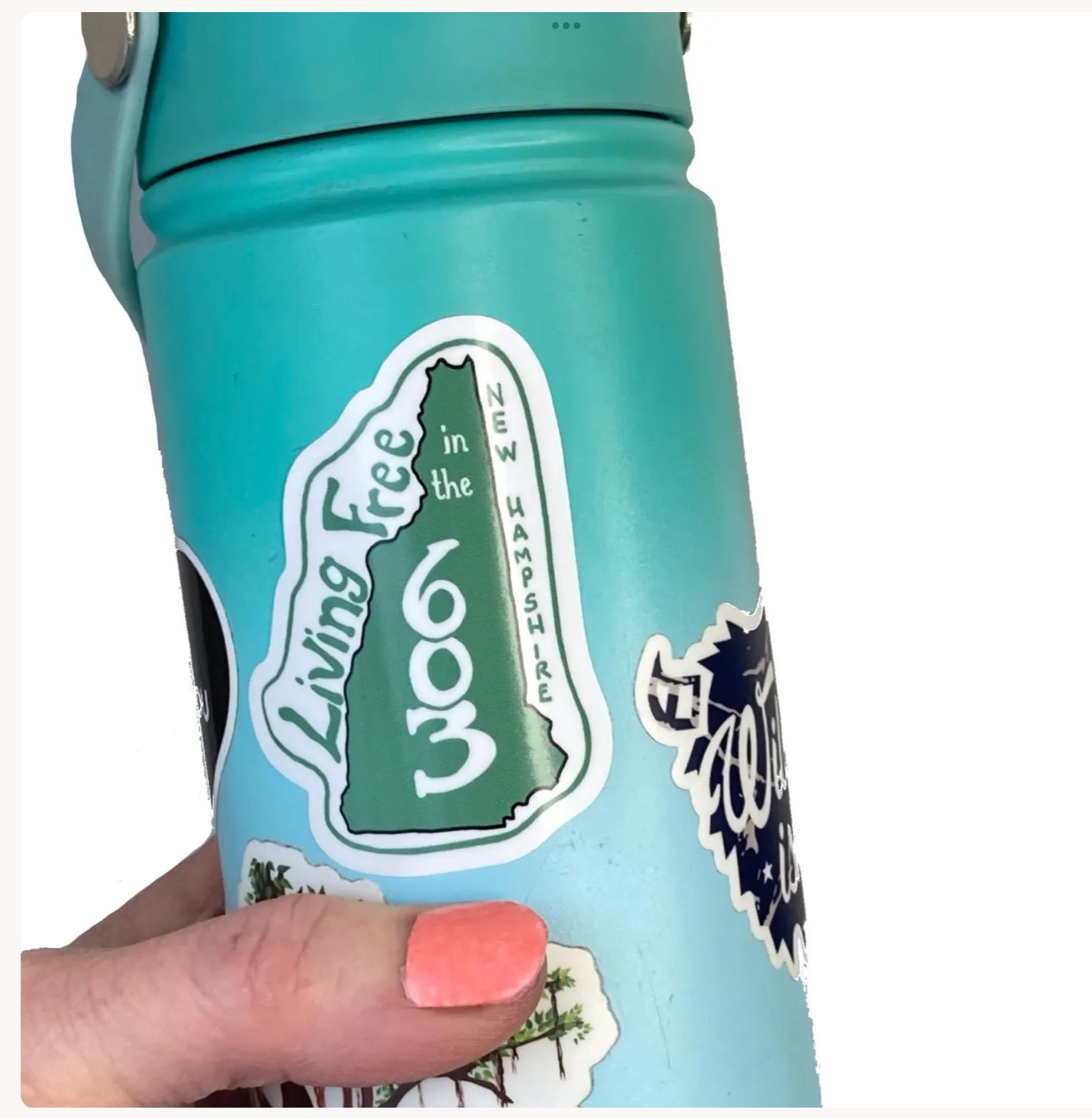 New Hampshire State Sticker "Living Free in the 603" Vinyl Weatherproof Green