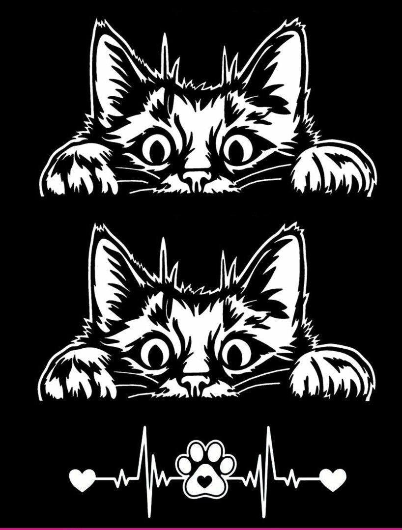 Curious Peeking Kitty Cat White Vinyl Decal Car Windows Laptop Tablet 3 Pack