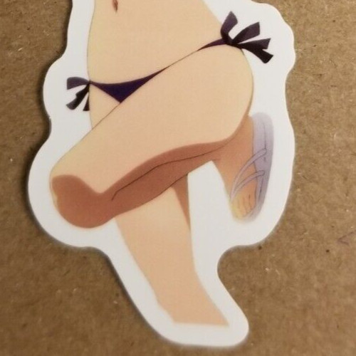 Waifu Sticker Girl Summer Bikini Beach Lingerie Idol Anime Manga Pin Up Pinup