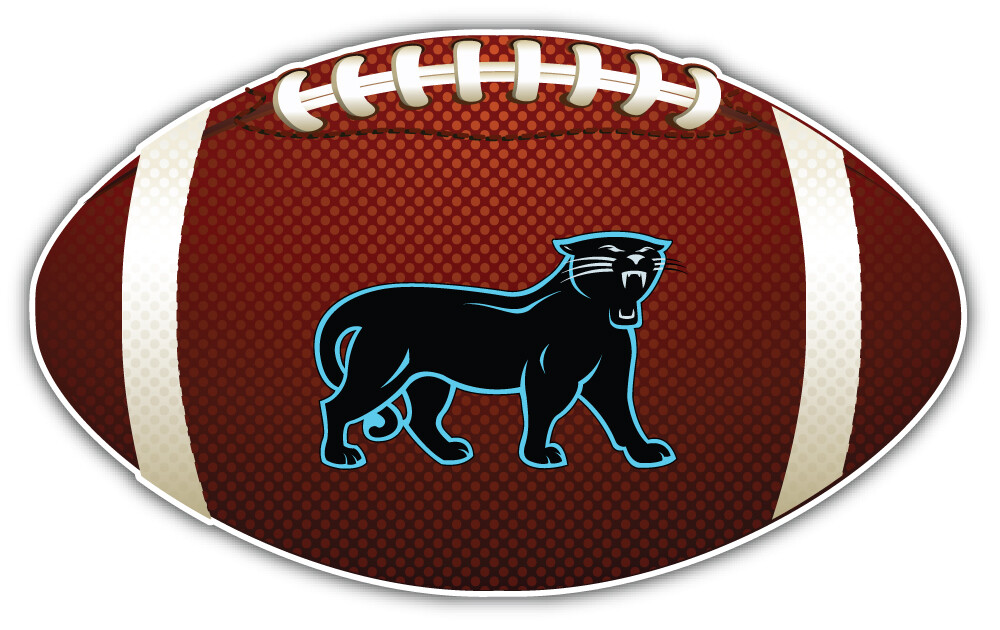 Carolina Panthers NFL Football Sport Logo Car Bumper Sticker Decal "SIZES"