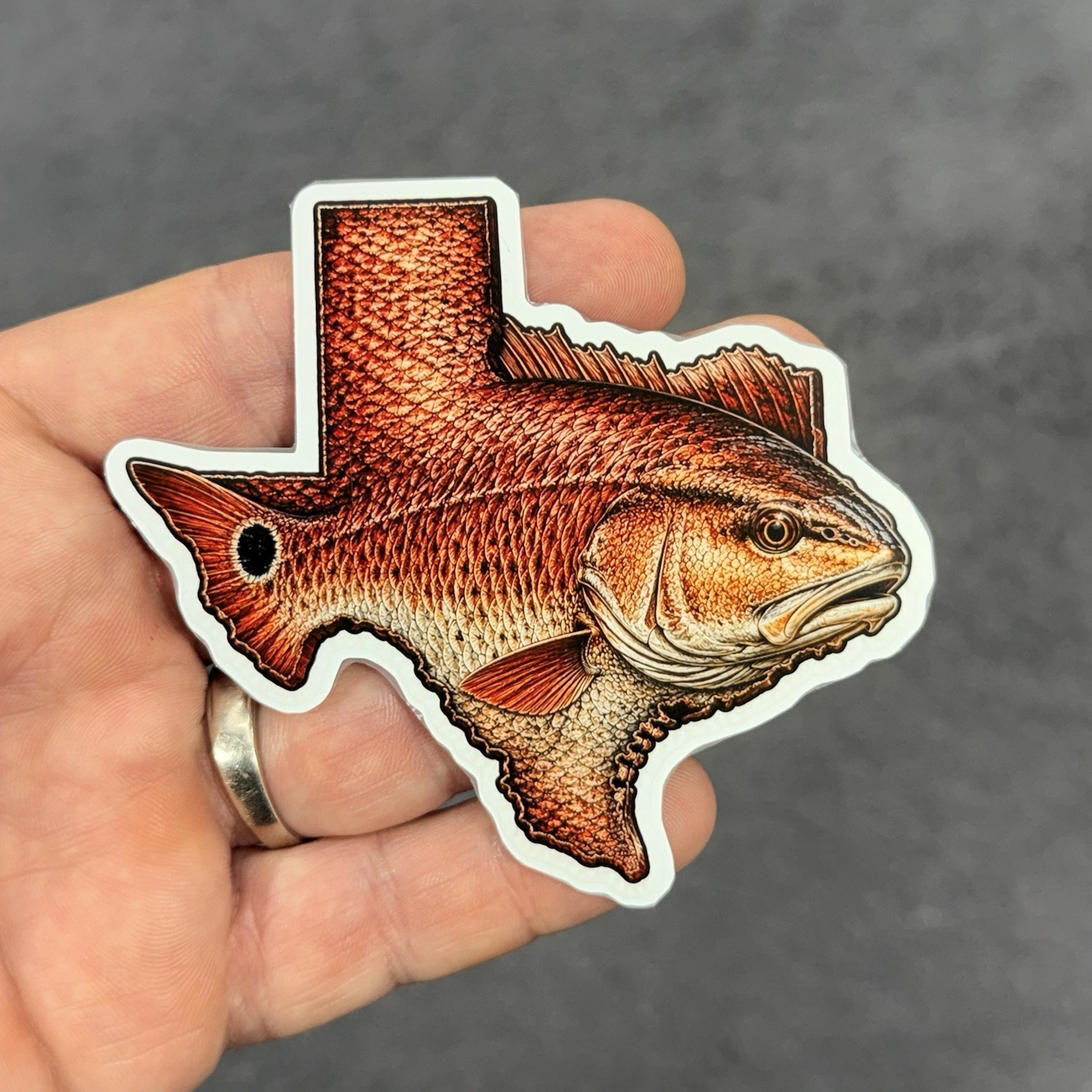 TEXAS Red Drum Redfish Tailing Fishing Vinyl Decal Car Truck Cooler Tumbler