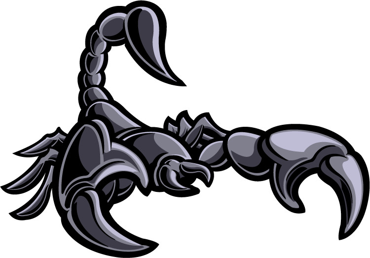 Scorpion Grey Car Bumper Sticker Decal