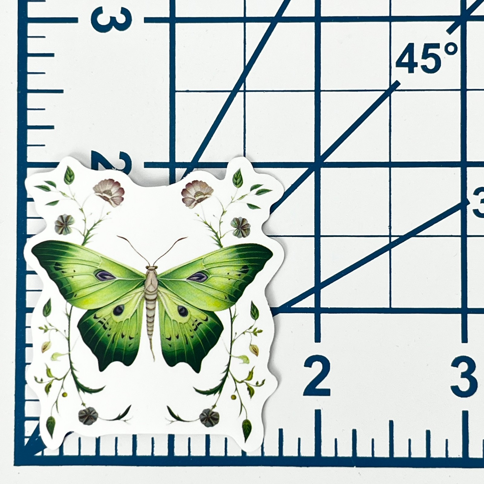 Lime Floral Swallowtail Moth Vinyl Sticker Vintage Butterfly Insect Journal Art