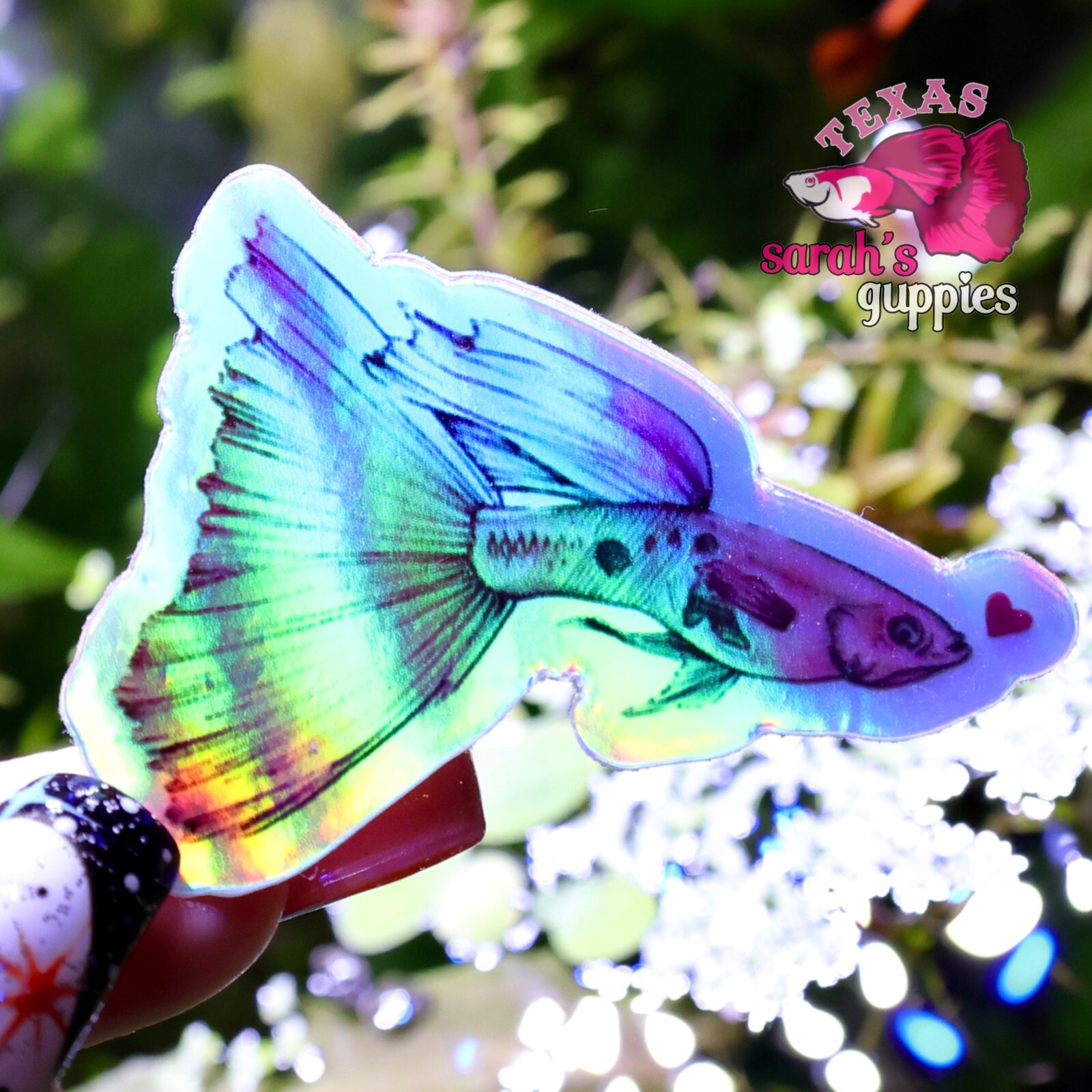 Pink Guppy Heart Sticker: Holographic🐠💕 Sarah's Guppies Homemade Designed