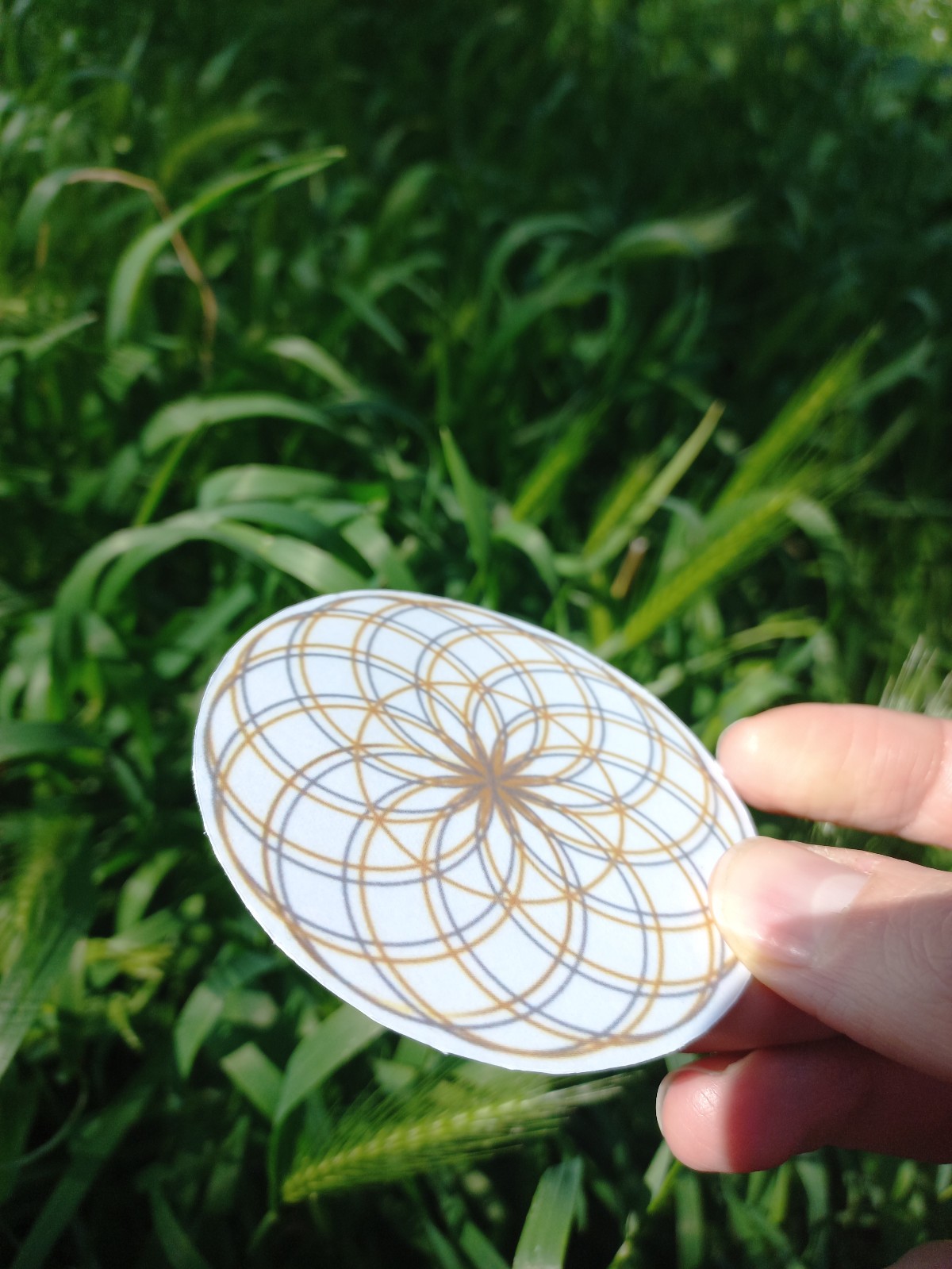 Flower of life , Lotus of life sacred geometry stickers