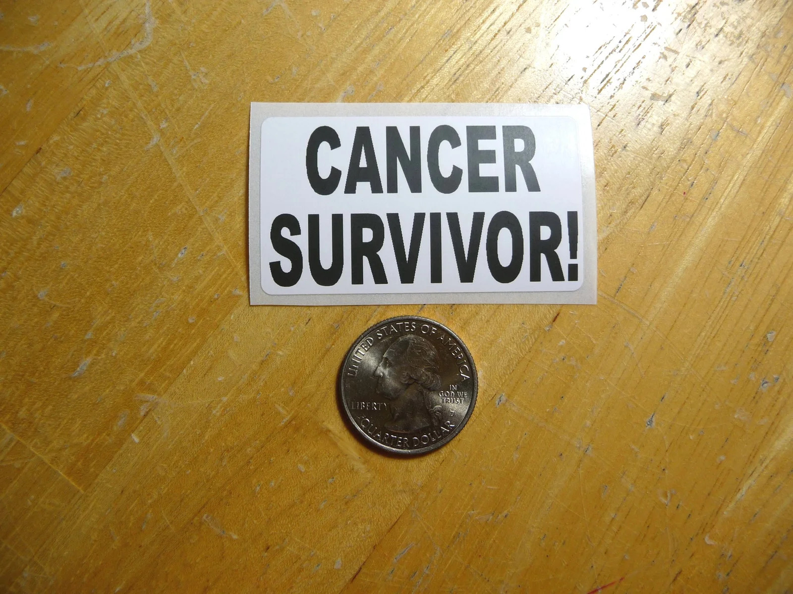 CANCER SURVIVOR STICKER DECAL 1 – 50 BULK PACK DISEASE SUPPORT AWARENESS