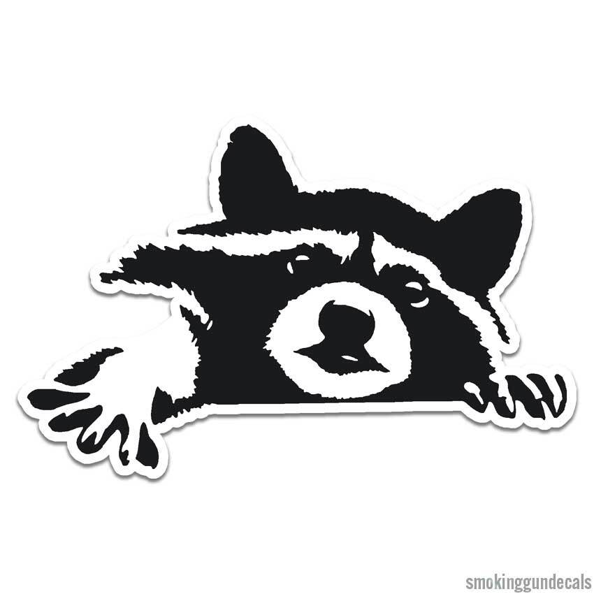 Peeking Raccoon, Vinyl Decal Sticker, Indoor Outdoor, 3 Sizes, #12049