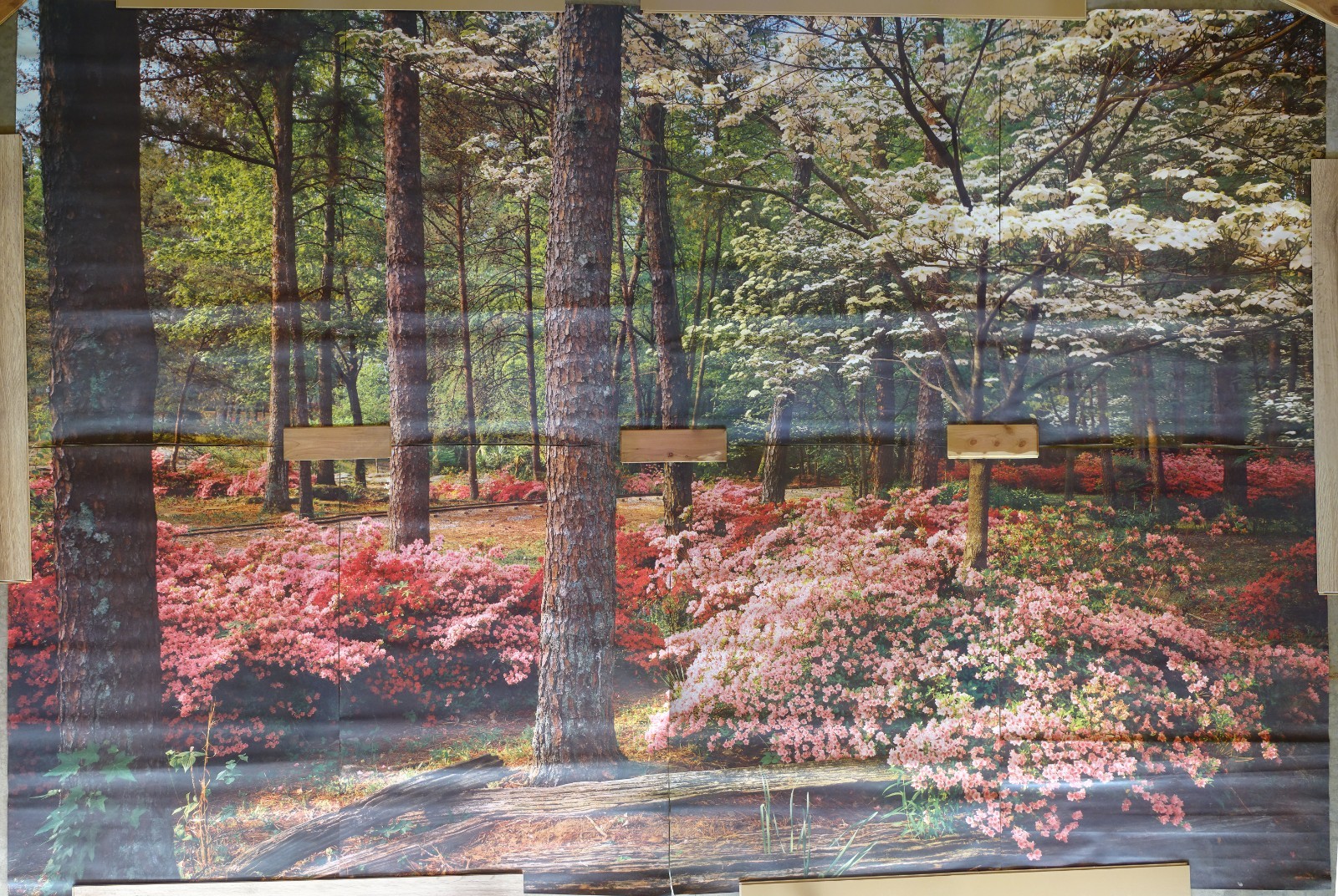 Full Wall Photo Mural Azaleas & Dogwoods Trees Railroad Track 8’ 8” x 12’ 6” NOS