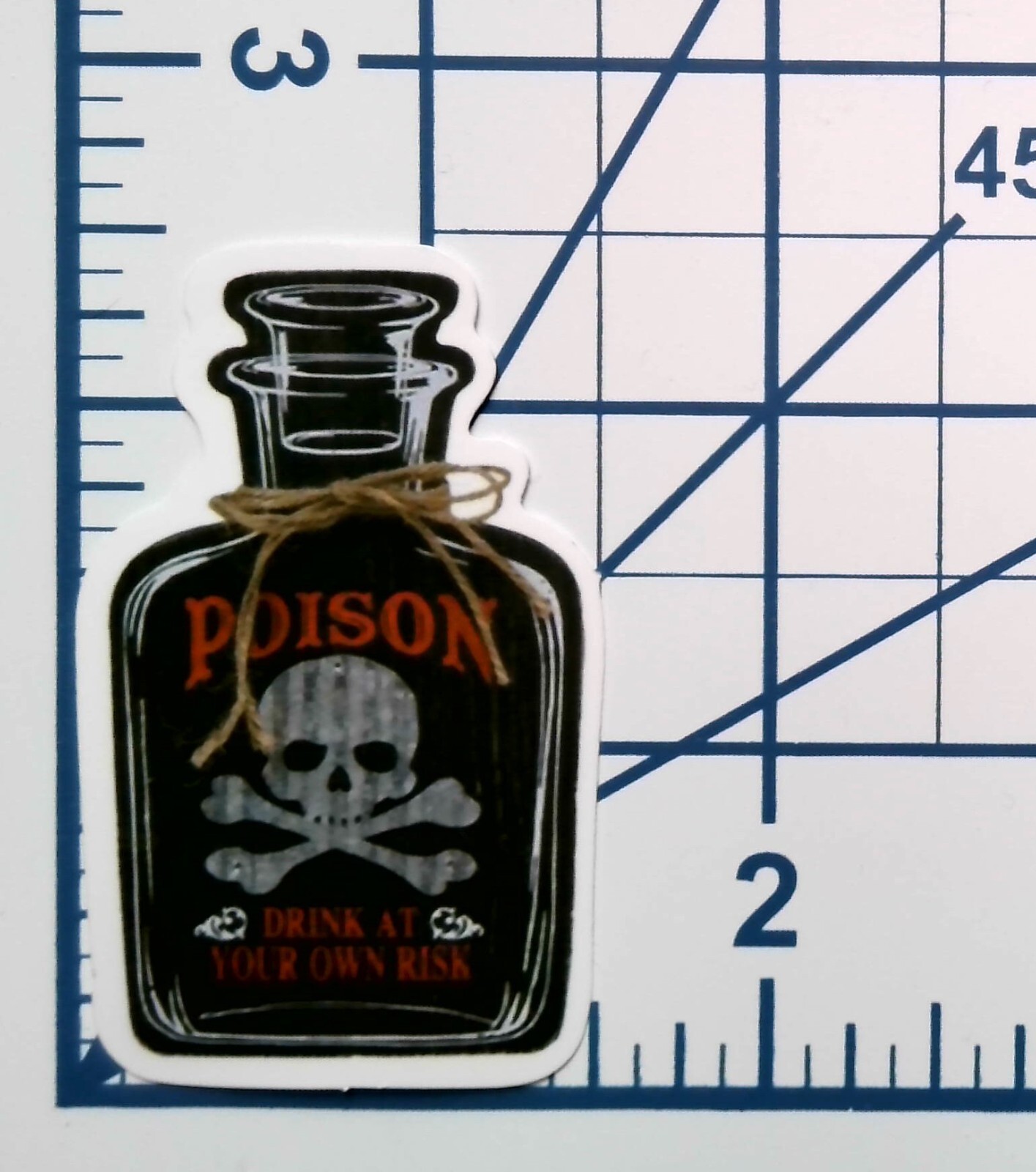 Poison Bottle Skull Crossbones Warning Die Cut Vinyl Sticker Gothic Journal Gift