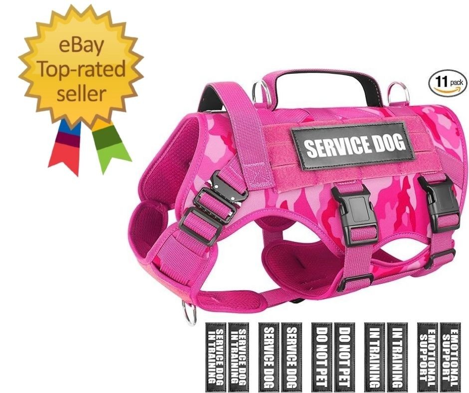 Service Dog Vest Harness for Medium Dog, Tactical Working MOLLE Vest with 10 Pet