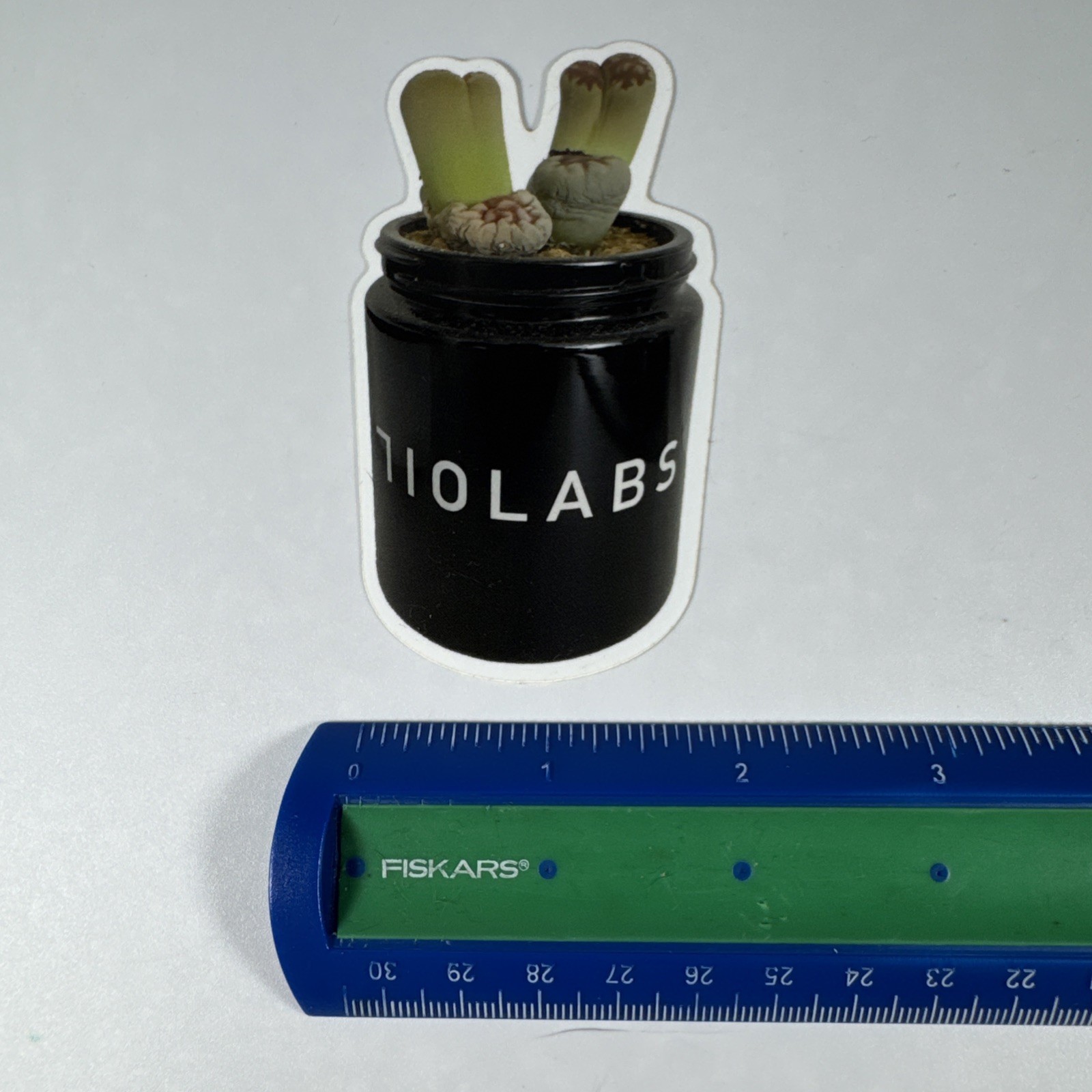 710 LABS – 710Labs Succulent Jar Sticker – 2.25×4 Inches