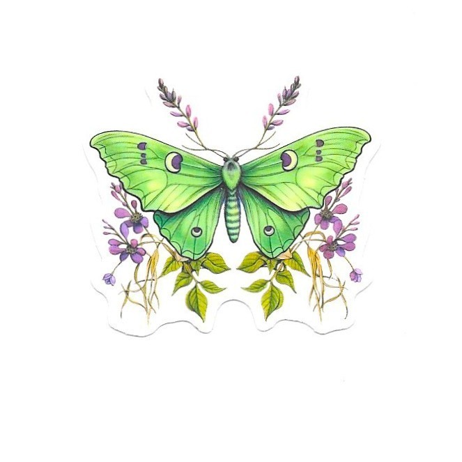 Luna Moon Moth Vinyl Sticker Vintage Green Celestial Insect Journal Laptop Art