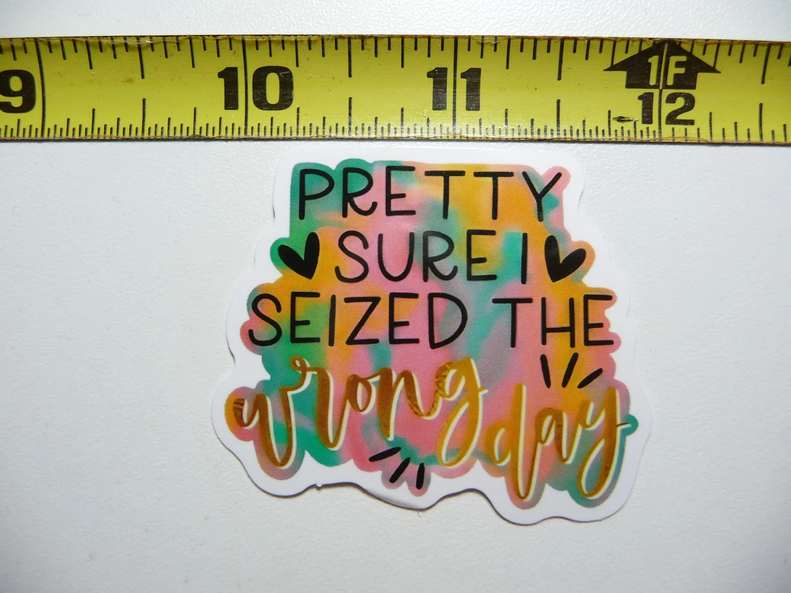 I SEIZED THE WRONG DAY SMALL STICKER DECAL FUNNY SAYING SNARKY SARCASTIC