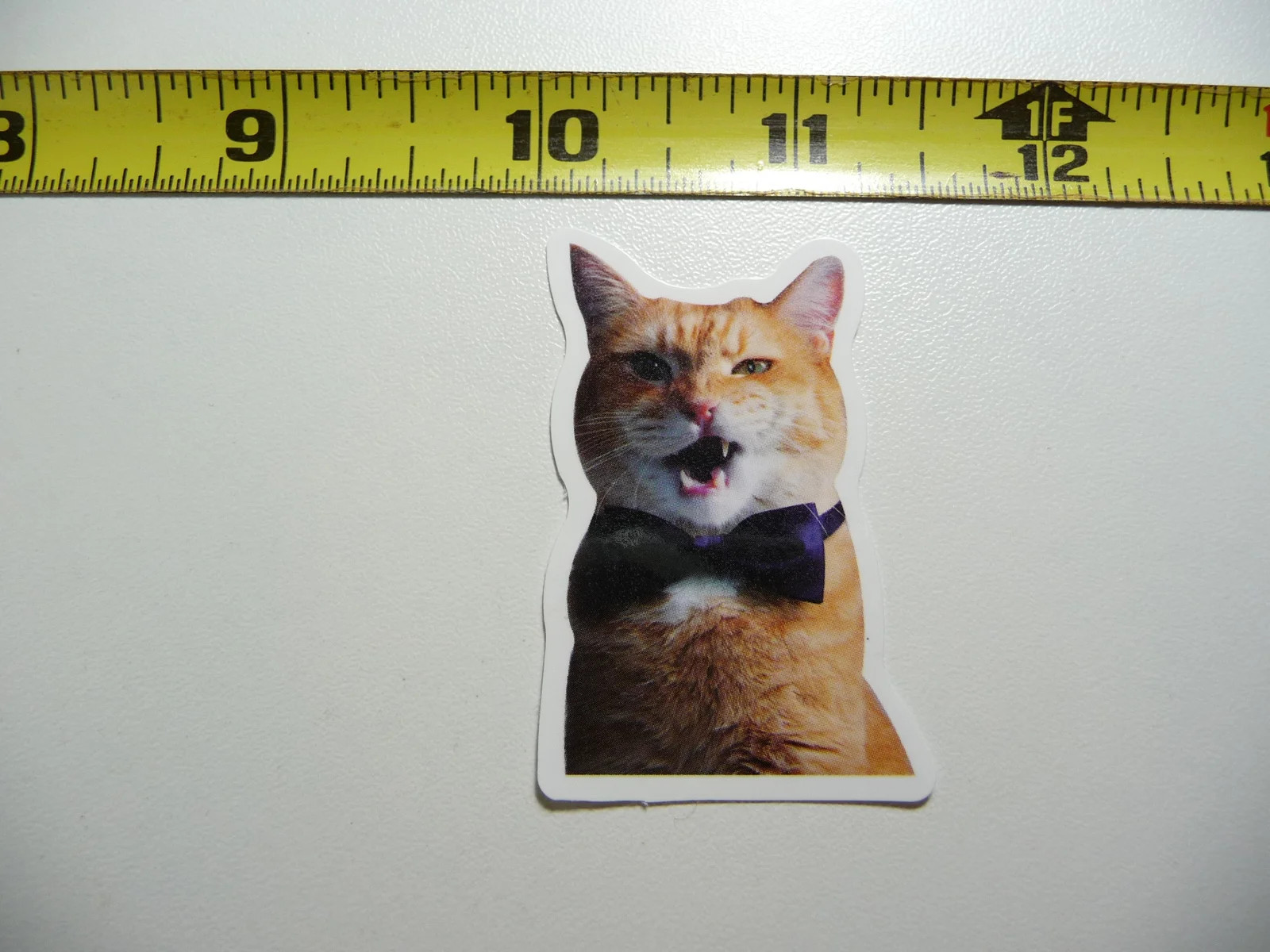 FANCY BOWTIE CAT SMALL STICKER DECAL FELINE PET HOUSE KITTEN FUNNY