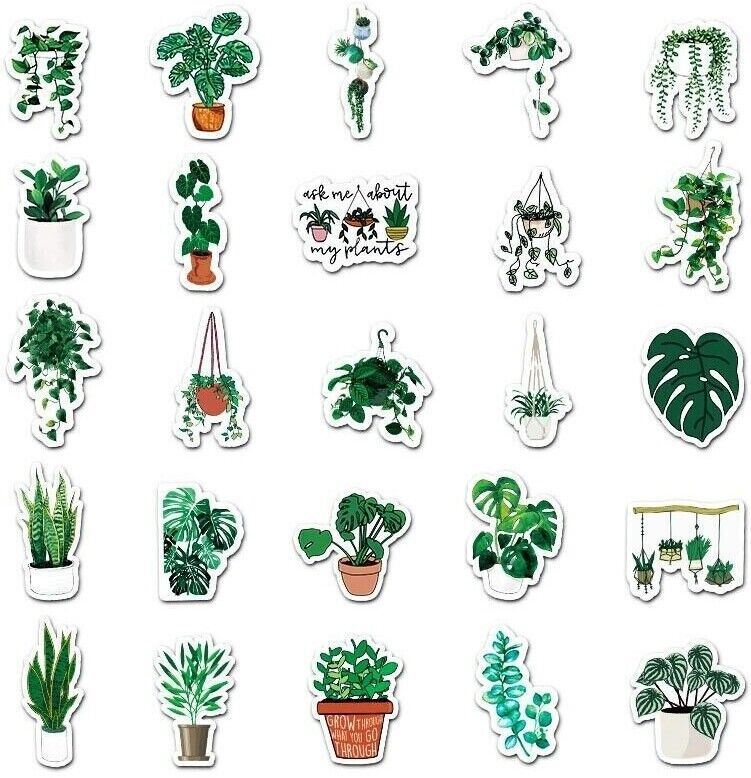 Plant VINYL Stickers [C] Potted HOUSEPLANTS House Succulent ~ Waterproof Decals