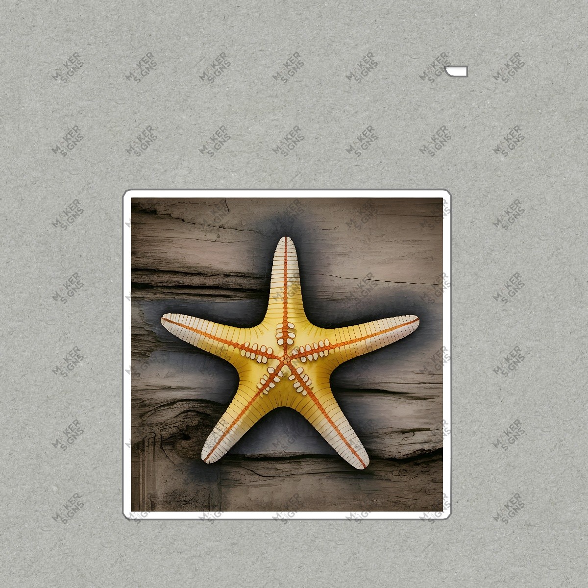 Large Yellow Starfish Wall Art on Rustic Wood Background Coastal Home #8057