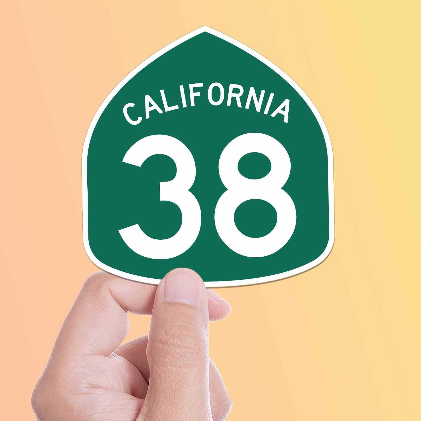 Southern California Highway 38 Road Sign Sticker – Cool San Bernardino CA Decals