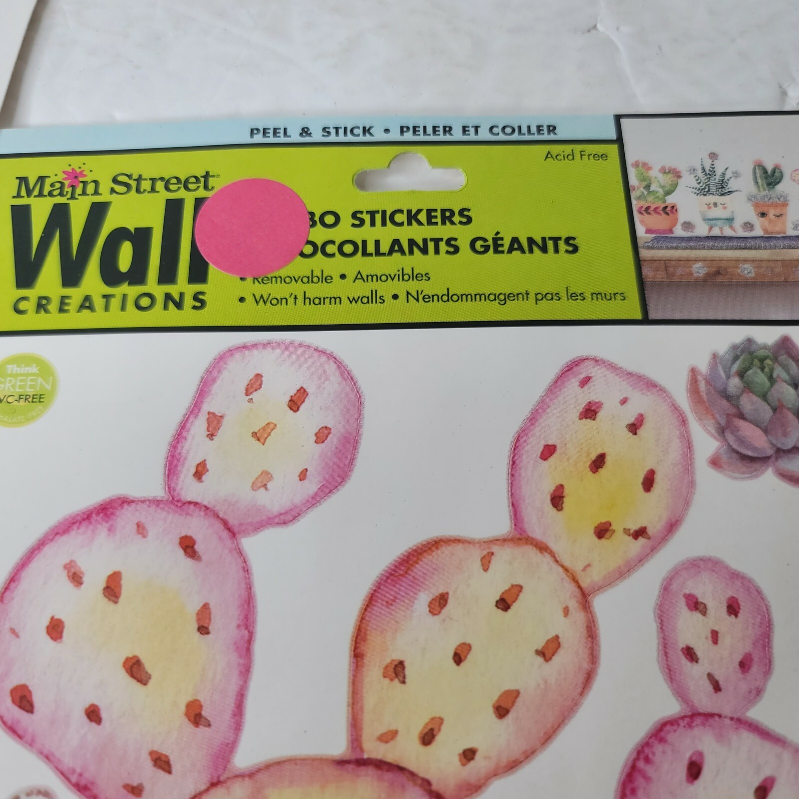2 PKG NEW Friendly Succulents Cactus Plants Peel & Stick Wall Decals 290253
