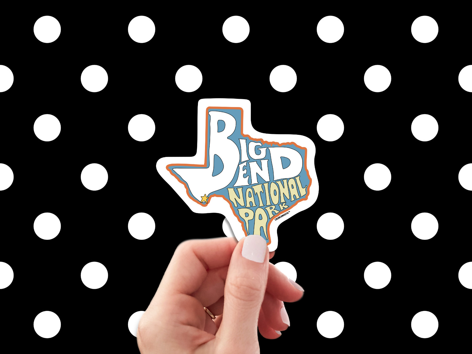 BIG BEND NATIONAL PARK TEXAS TRAVEL DECAL BUMPER STICKER RETRO VINTAGE