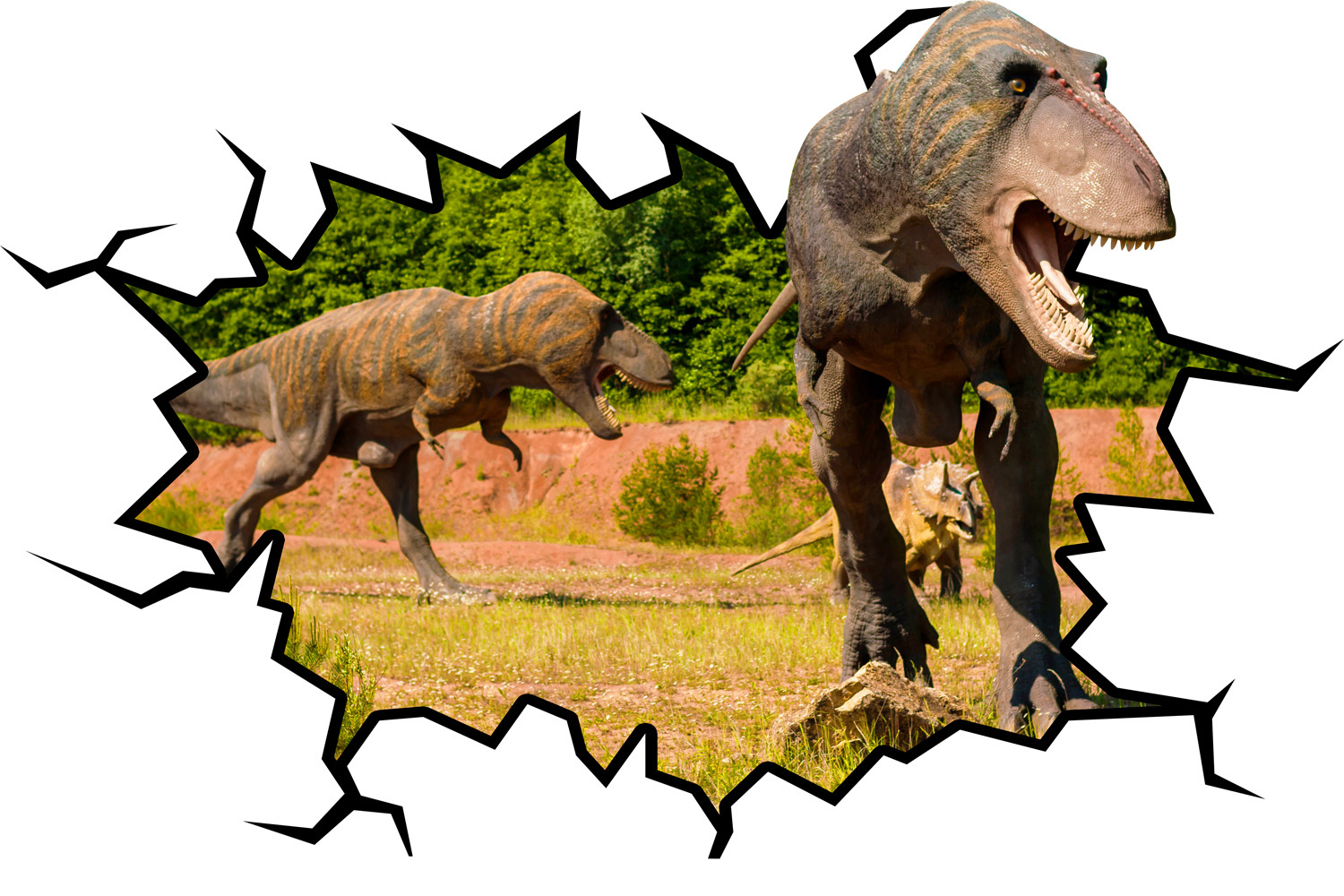 T-Rex Wall Decal Dinosaur 3D Wall Sticker Hole In The Wall Crack VWAQ-WC18