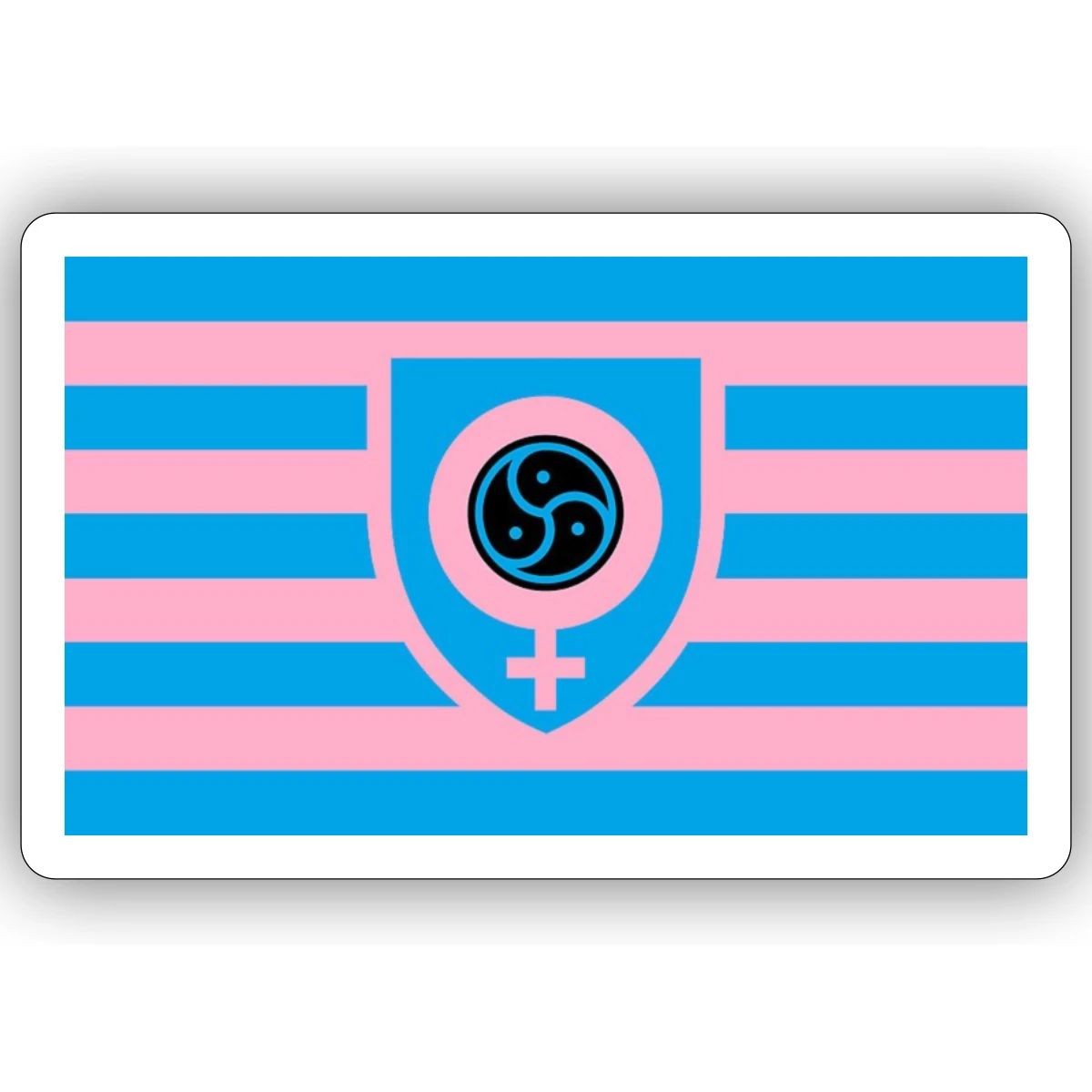 Bold Feminine Power Flag Inspired Alternative Lifestyle Aesthetic Sticker, max.