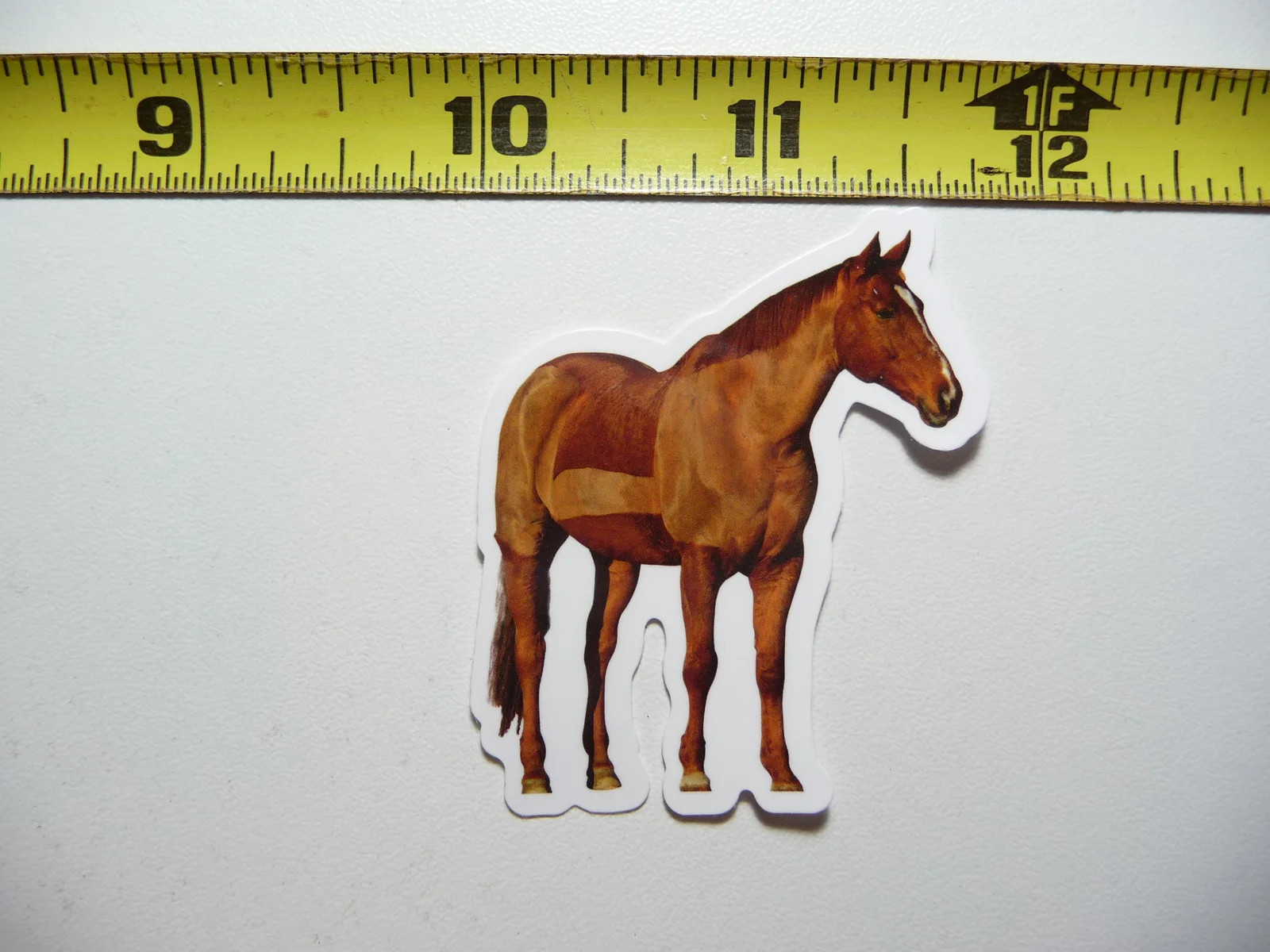 BROWN HORSE SMALL STICKER DECAL WILDLIFE PRESERVE NATURE ANIMAL FUNNY