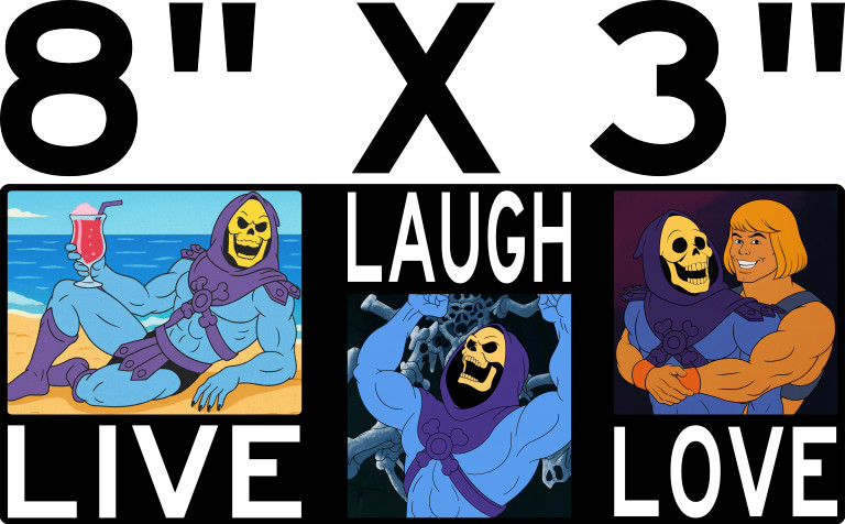 2 PACK LIVE LAUGH LOVE VINYL DECAL MOTU BUMPER STICKER LABEL SKELETOR FREE SHIP