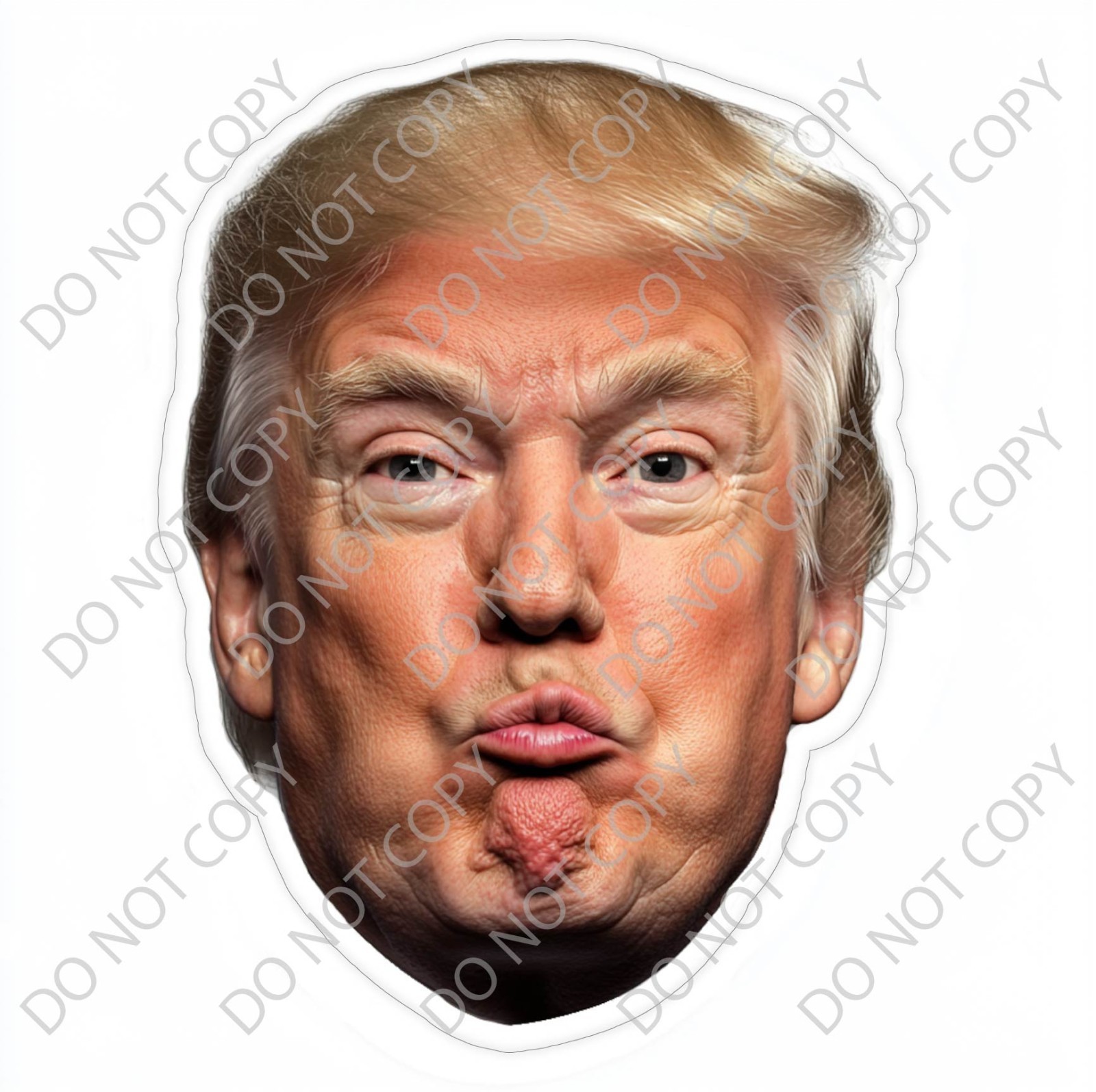 Laminated Vinyl Decal Die Cut Waterproof Sticker – President Donald Trump