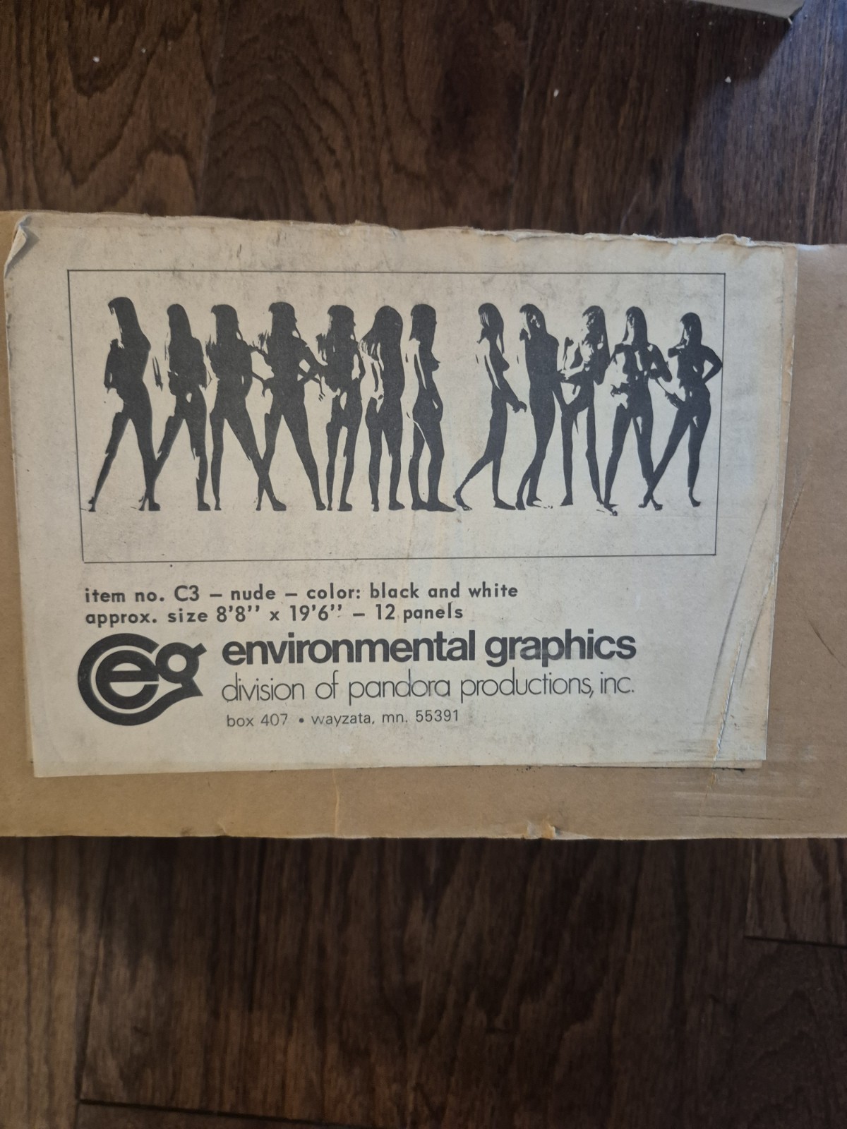 Environmental Graphics Store Display Nude Black White Art Mural Pannels 1990's