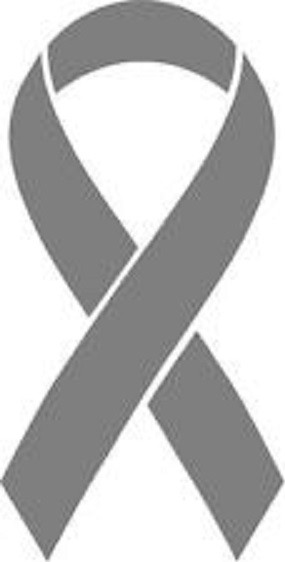 Silver Metallic Brain Cancer Ribbon Vinyl Decal Car Window Sticker Pick The Size