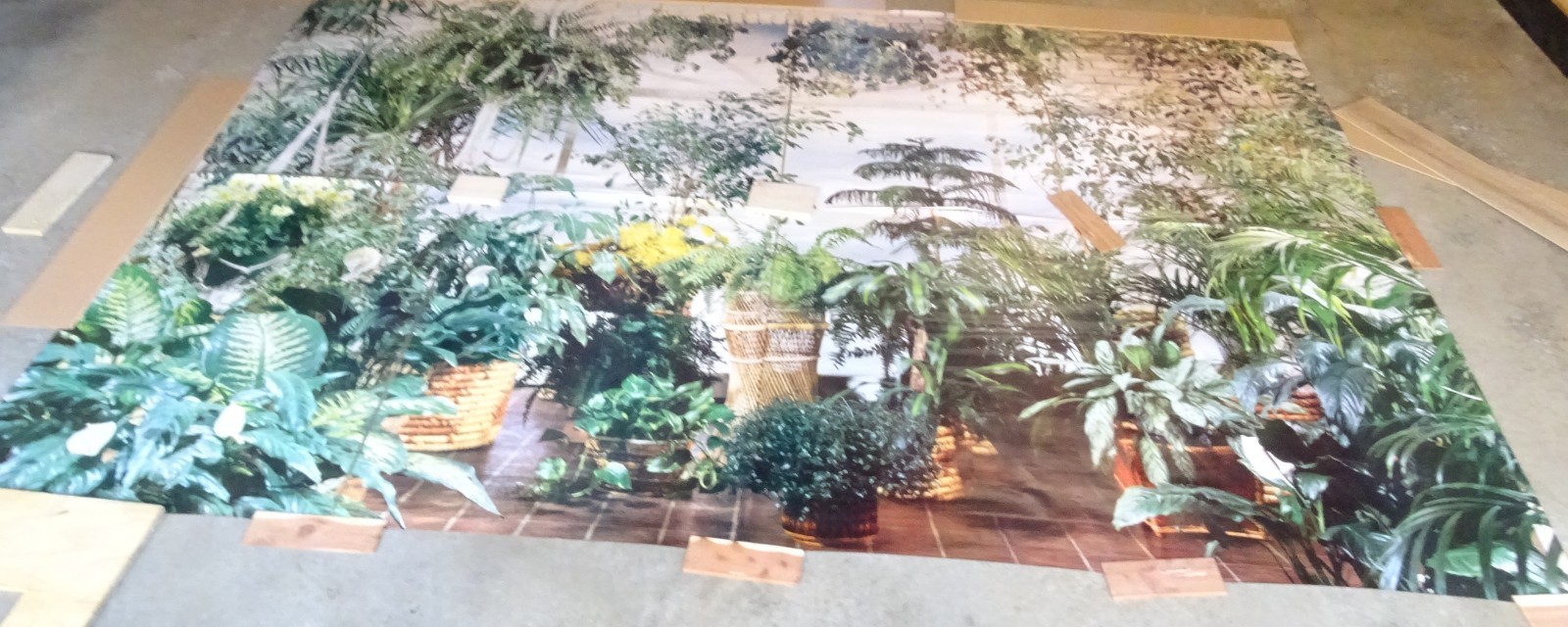 Full Wall Size Mural Tropical Plants Huge Window 8’ 8” x 12’ 6” NOS 108 Sq Ft A