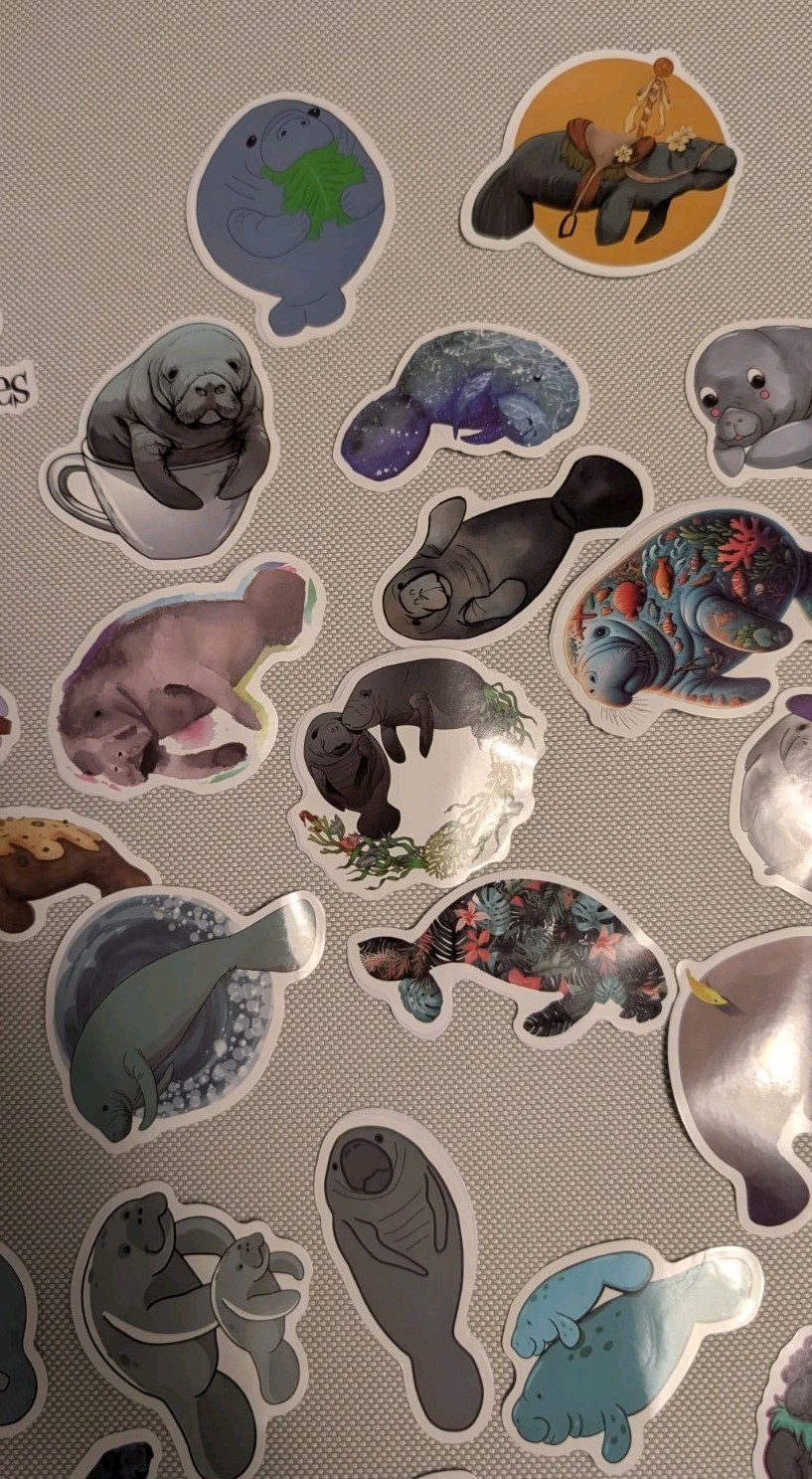 MYSTERY MIXED LOT OF 10 MANATEE GRAPHIC DECAL STICKER ART CAR WALL LAPTOP DECOR